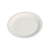 Paper Plate - small